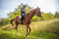 Pavel Kašný na projížďce na koni v přírodě