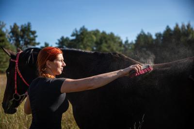 Barbora Miksánková Málková kartáčuje koně v přírodě