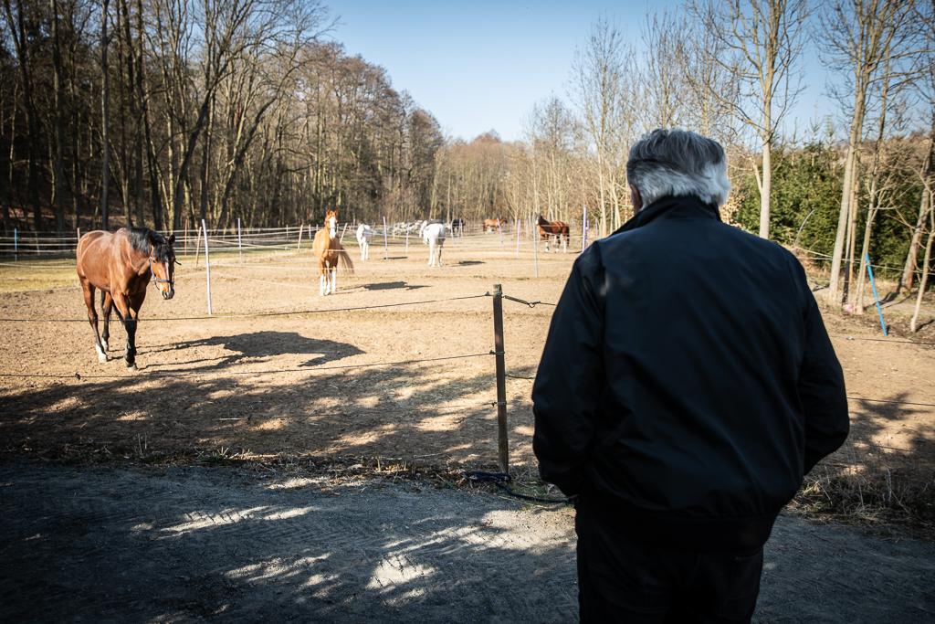 Jiří Pecháček se dívá na koně ve výběhu mezi stromy v přírodě