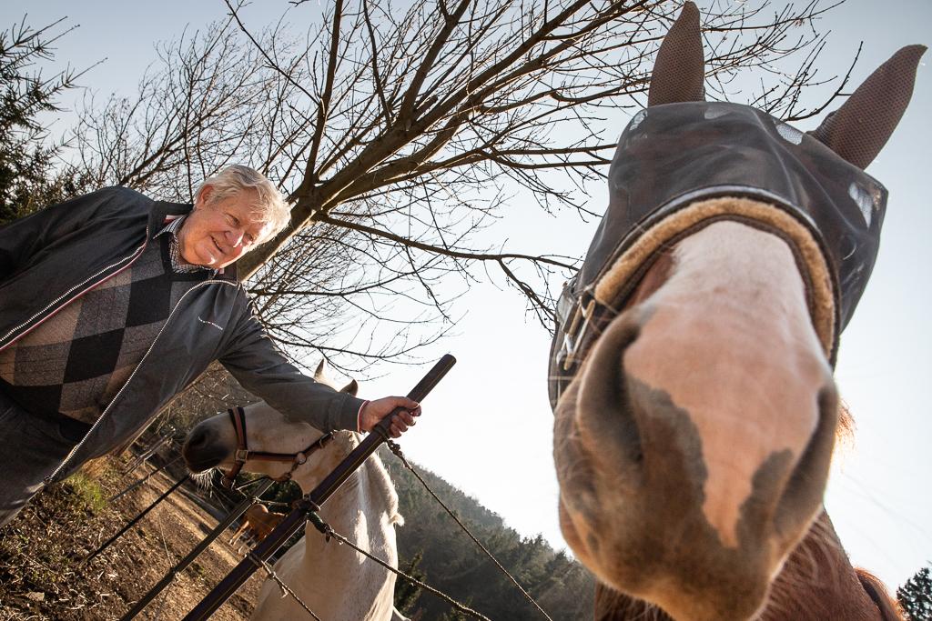 Jiří Pecháček s hnědým a bílým koněm v přírodě