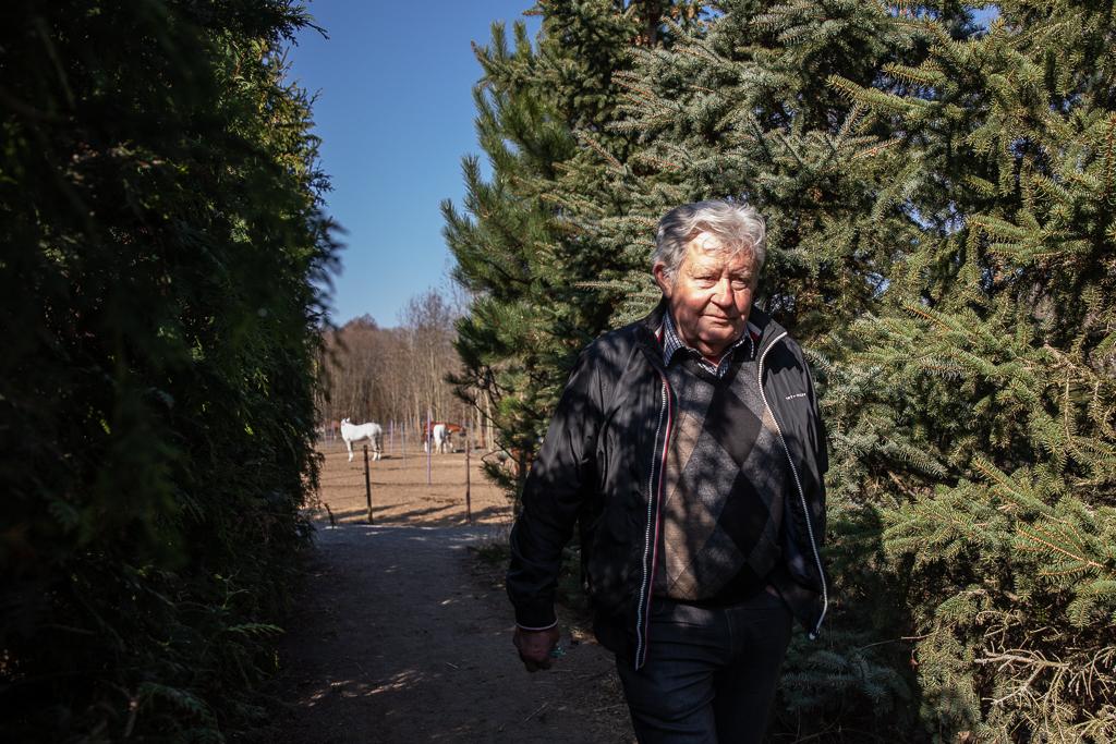 Jiří Pecháček se prochází mezi jehličnatými stromy, vzadu jsou koně v přírodě