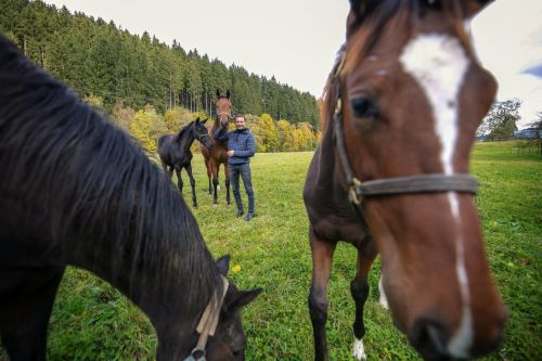 Marek Stromský na louce se svými koňmi.