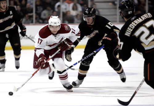 Radim Vrbata, lední hokej