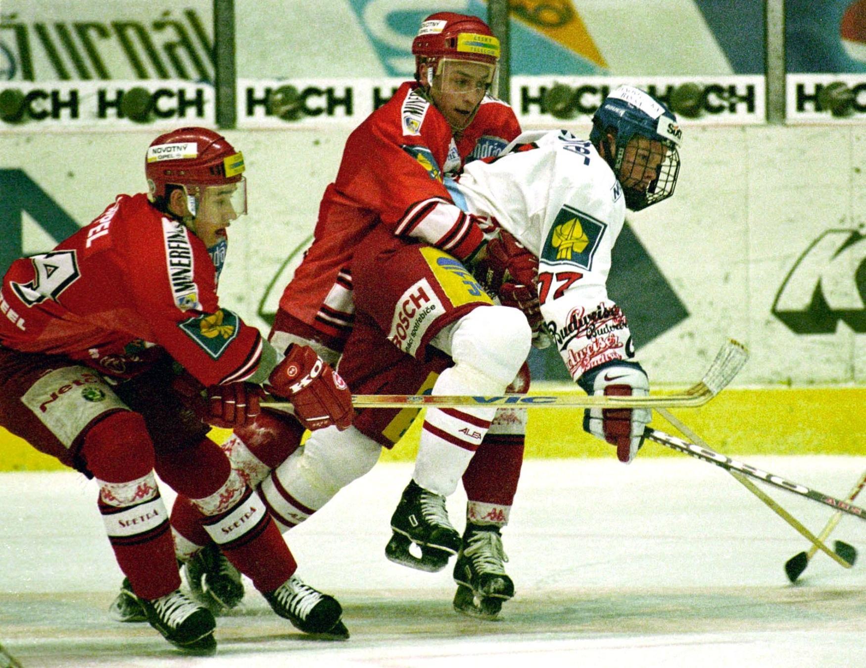 Václav Nedorost, lední hokej